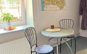 Piebalgas Street Apartment In Cesis